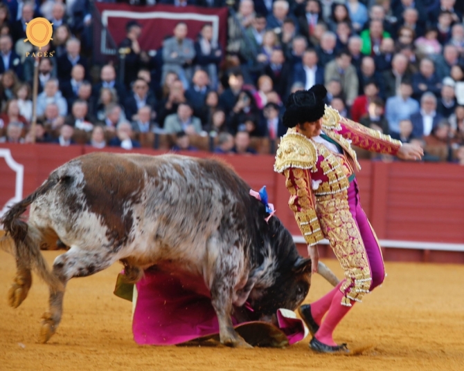 Una oreja de ley y una sorpresa 