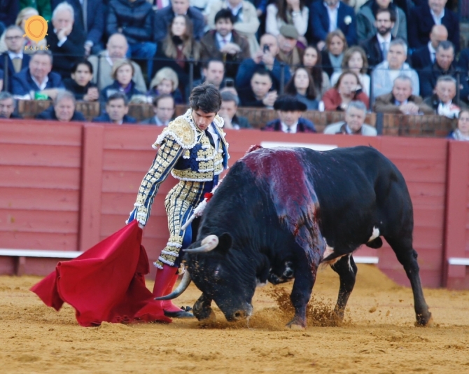 Una oreja de ley y una sorpresa 