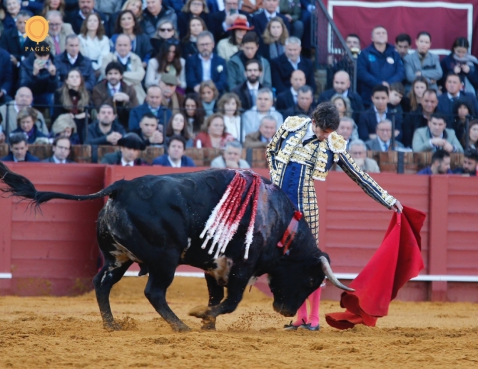 Una oreja de ley y una sorpresa 