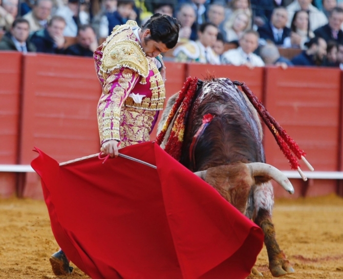 Una oreja de ley y una sorpresa 