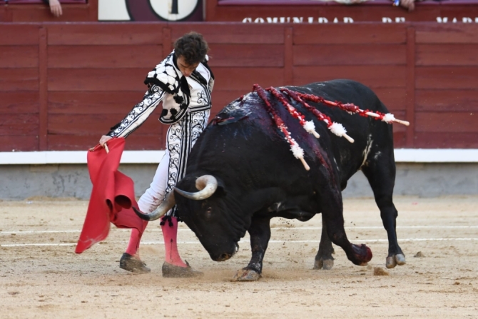 La impronta de la terna no levanta la lápida descastada de El Montecillo 