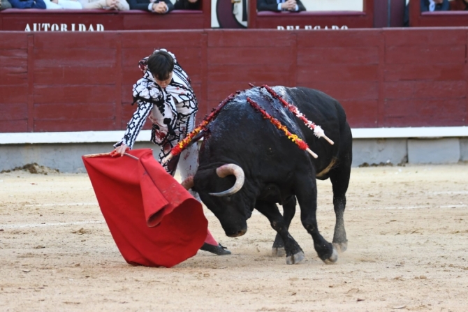 La impronta de la terna no levanta la lápida descastada de El Montecillo 