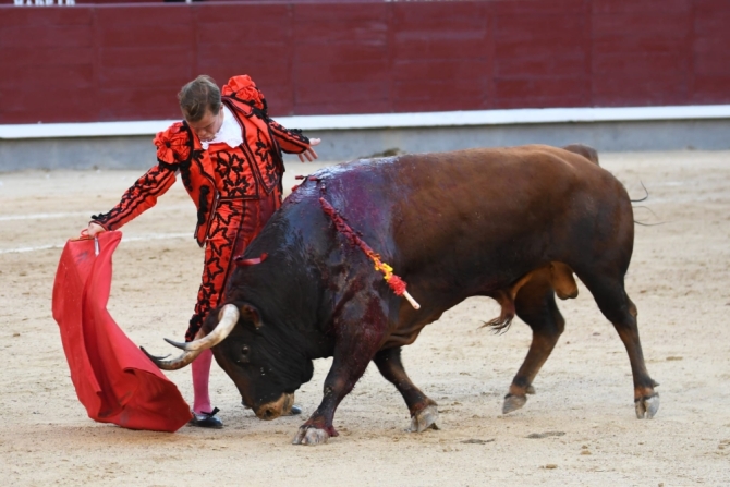 La impronta de la terna no levanta la lápida descastada de El Montecillo 