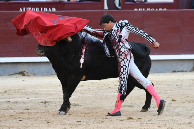 La impronta de la terna no levanta la lápida descastada de El Montecillo 