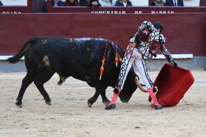 La impronta de la terna no levanta la lápida descastada de El Montecillo 