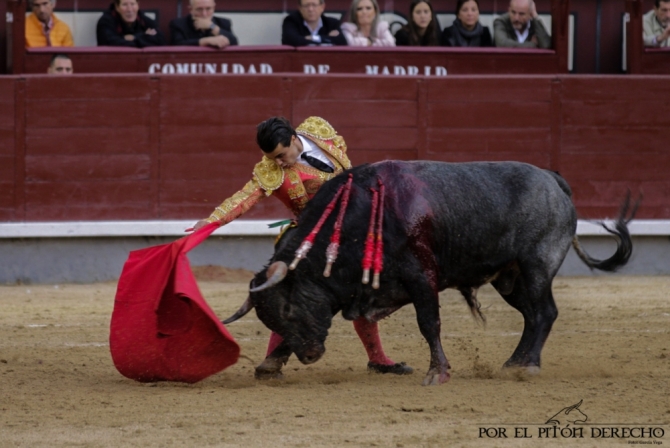 'La importancia de Cerrato con la casta maña'