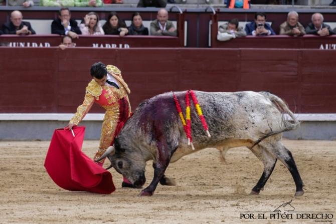 'La importancia de Cerrato con la casta maña'