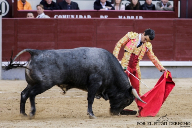 'La importancia de Cerrato con la casta maña'