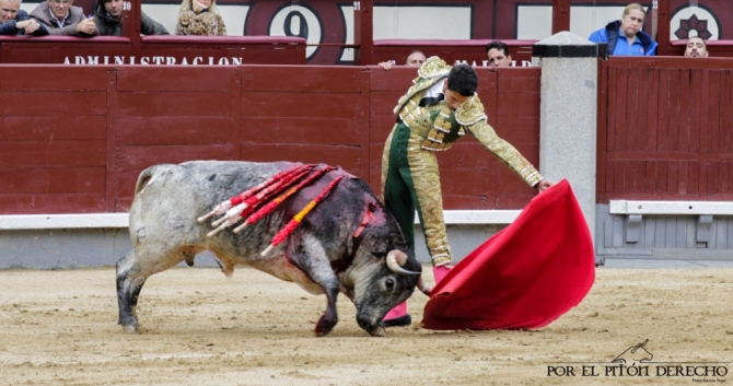 'La importancia de Cerrato con la casta maña'