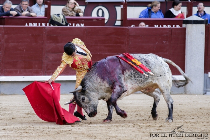 'La importancia de Cerrato con la casta maña'