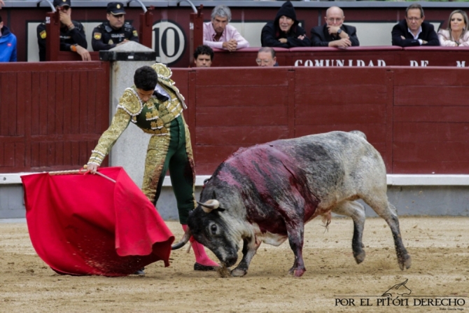 'La importancia de Cerrato con la casta maña'