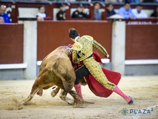 'Entre apuntes, vientecitos y manías'