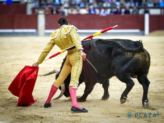 'De la pradera a la carnicería'