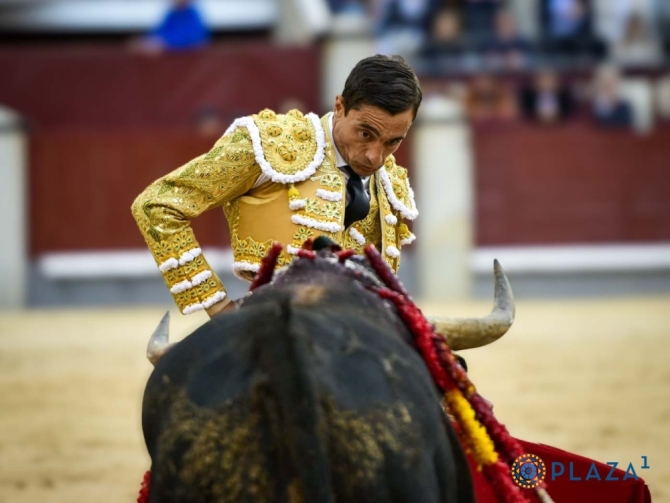 'De la pradera a la carnicería'