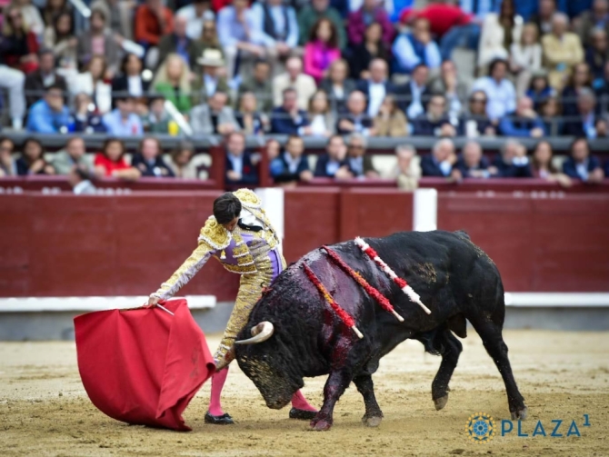 'De la pradera a la carnicería'