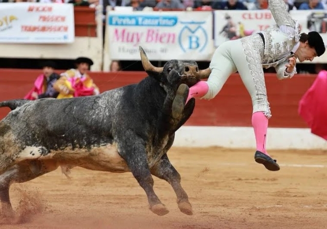 Román sufre una fuerte cornada de tres trayectorias en Vic-Fezensac