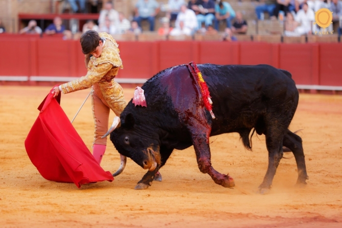 'Con sombra de torero grande'