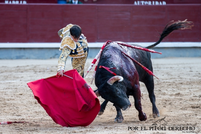 'Juan de Castilla salva la soporífera corrida de Valdefresno'