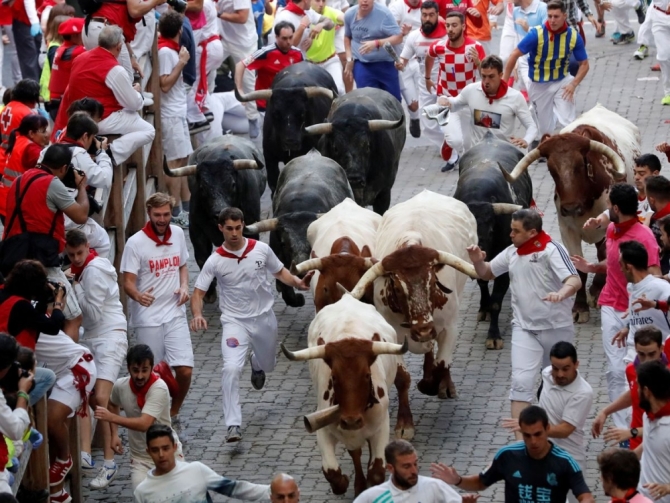 'Celebrando 65 años de grandeza y pasión: la historia de la Feria del Toro de Pamplona'