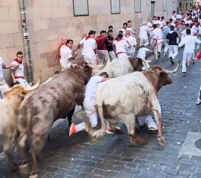 'Nobleza y tensión de La Palmosilla; primer herido por asta de toro'