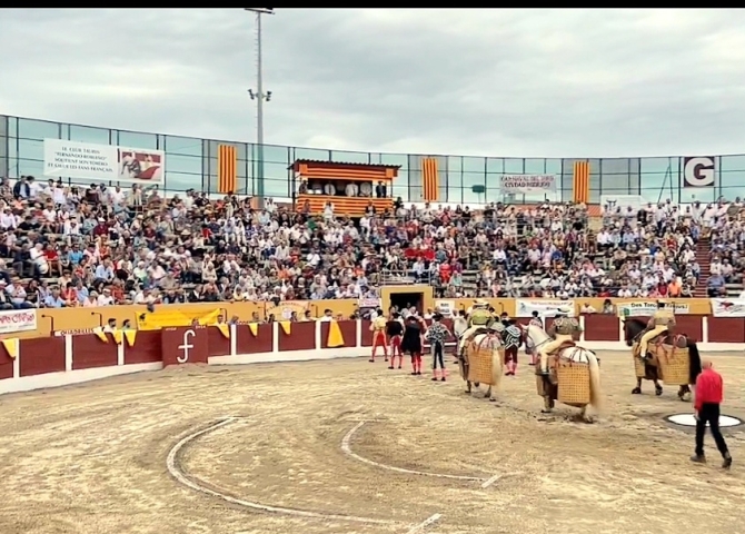 'Andrades tiene mimbres para funcionar en el torismo'