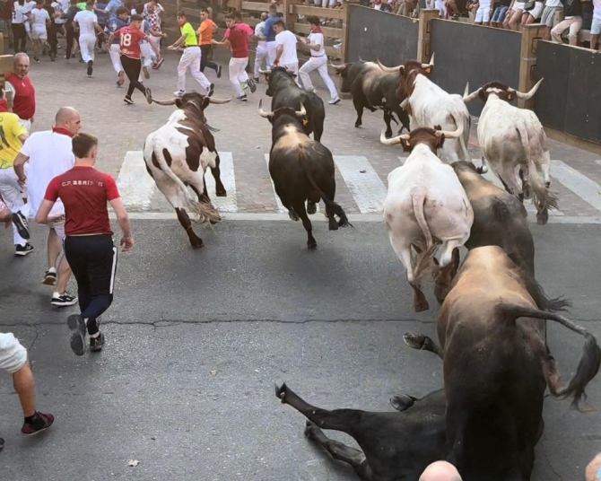 'Lento tercer encierro con toros maños de Cuartero'
