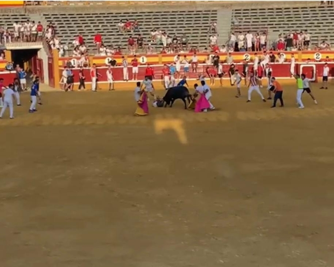 'Quinto encierro: un toro de Enrique Domínguez cornea en la plaza'