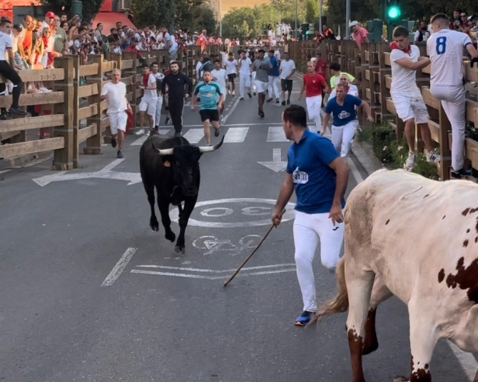 'Quinto encierro: un toro de Enrique Domínguez cornea en la plaza'