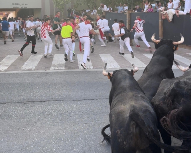 'Quinto encierro: un toro de Enrique Domínguez cornea en la plaza'