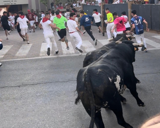'Manada partida para disfrutar del último encierro con toros de Santos Zapatería'