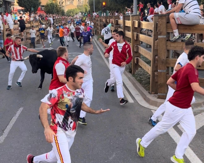 'Manada partida para disfrutar del último encierro con toros de Santos Zapatería'