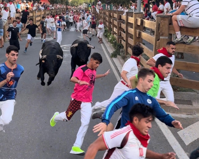 'Manada partida para disfrutar del último encierro con toros de Santos Zapatería'
