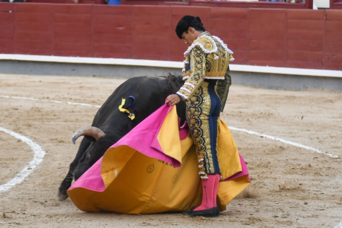 'Falta de ambición ante una colaboradora pero no fácil novillada de Dolores'