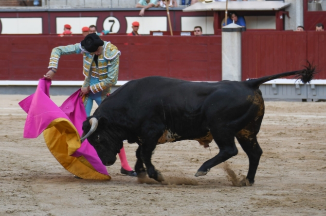 'Falta de ambición ante una colaboradora pero no fácil novillada de Dolores'