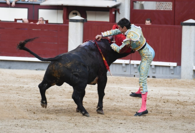 'Falta de ambición ante una colaboradora pero no fácil novillada de Dolores'