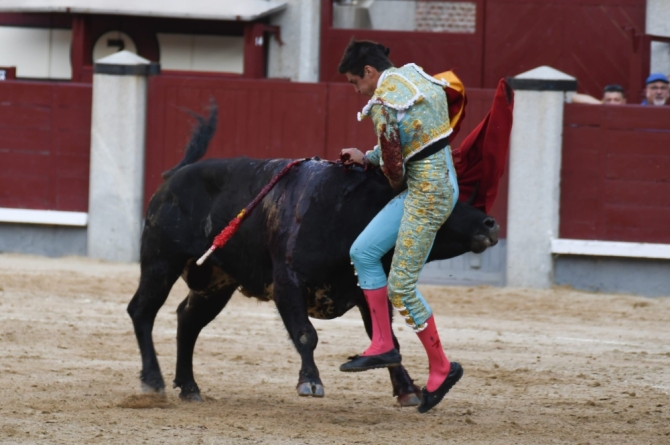 'Falta de ambición ante una colaboradora pero no fácil novillada de Dolores'