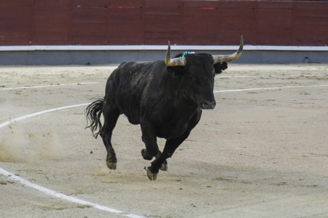 'Tarde larga y sin contenido' 