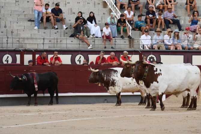 'Tarde larga y sin contenido' 