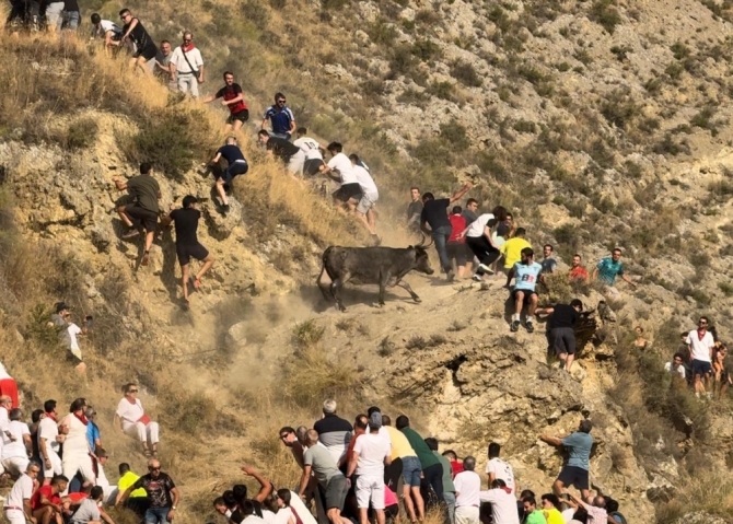 'Interminable y peligroso segundo Pilón con reses de don Teodoro Vergara'