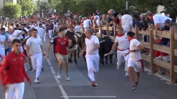 'Bonito, emocionante, complicado de correr y masificado encierro de Hermanas Azcona para comenzar la feria de Tafalla'