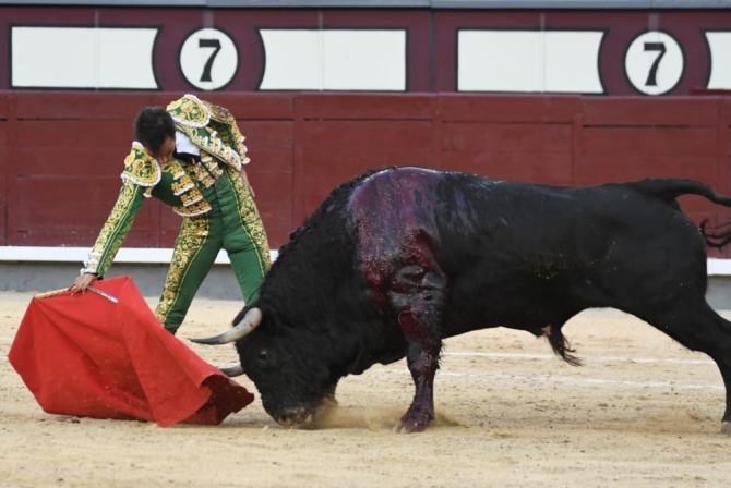 Oreja para Adrián de Torres ante una buena corrida de José Enrique Fraile'