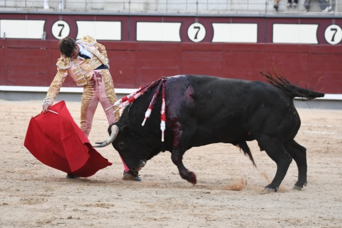 Oreja para Adrián de Torres ante una buena corrida de José Enrique Fraile'