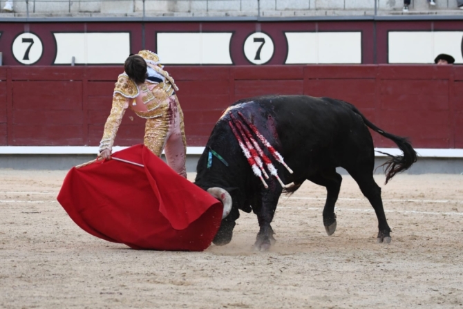 Oreja para Adrián de Torres ante una buena corrida de José Enrique Fraile'