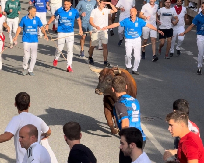 'Sólo cinco toros de Reta en un masificado y larguísimo tercer encierro en Tafalla con toro suelto'