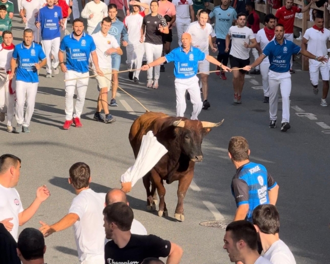 'Sólo cinco toros de Reta en un masificado y larguísimo tercer encierro en Tafalla con toro suelto'