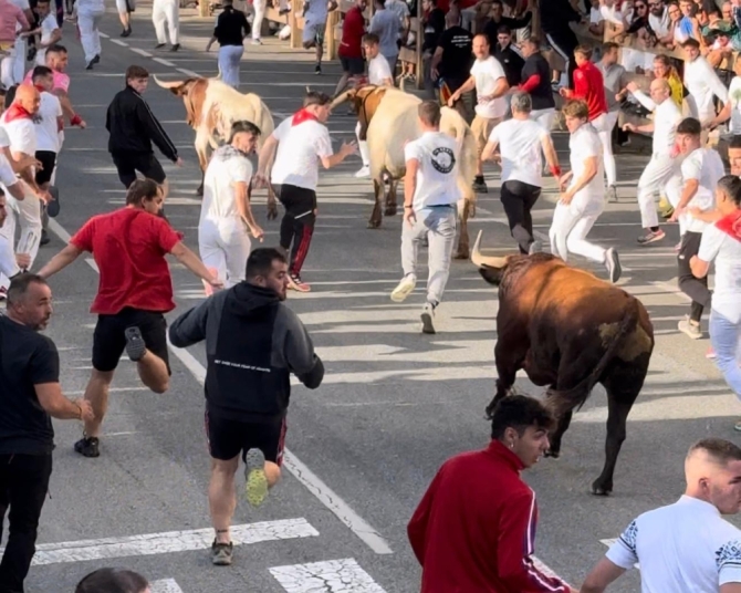 'Sólo cinco toros de Reta en un masificado y larguísimo tercer encierro en Tafalla con toro suelto'