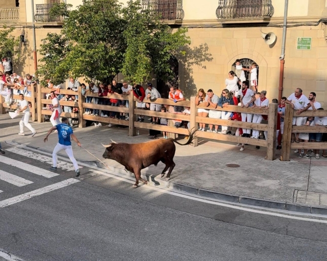 'Sólo cinco toros de Reta en un masificado y larguísimo tercer encierro en Tafalla con toro suelto'