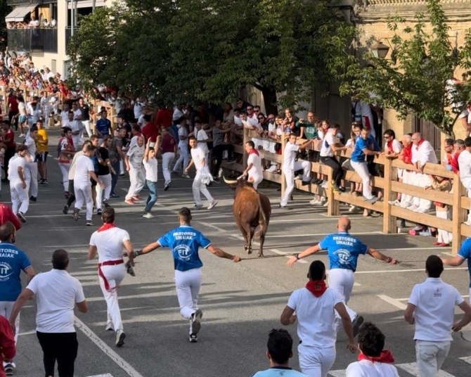 'Sólo cinco toros de Reta en un masificado y larguísimo tercer encierro en Tafalla con toro suelto'
