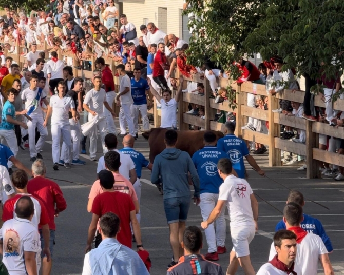 'Sólo cinco toros de Reta en un masificado y larguísimo tercer encierro en Tafalla con toro suelto'