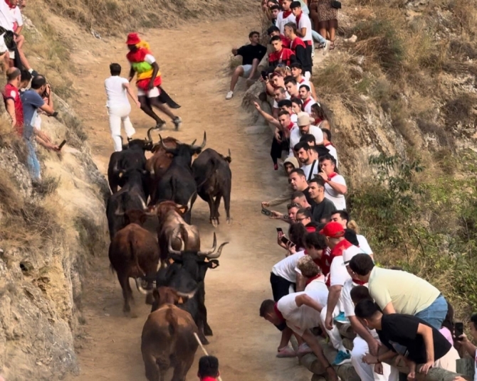 'Emocionante, bravo y precioso último Pilón de Falces protagonizado por las reses de Teodoro Vergara'